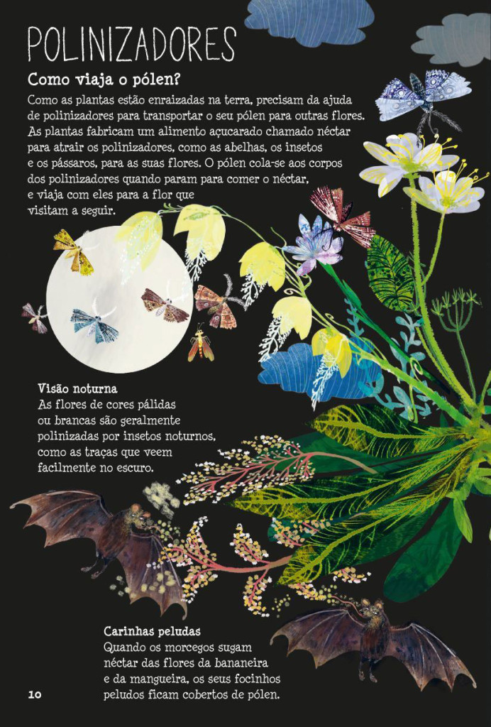 O Grande Livro Das Flores Yuval Zommer Deusmelivro