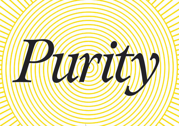 Purity, Dom Quixote, Jonathan Franzen