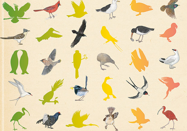 Inventário Ilustrado das Aves, Kalandraka, Deus Me Livro, Virginie Aladjidi, Emmanuelle Tchoukriel
