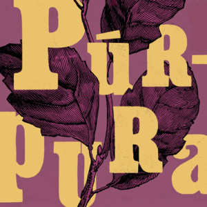 A Cor Púrpura, Deus Me Livro, Suma de Letras, Alice Walker