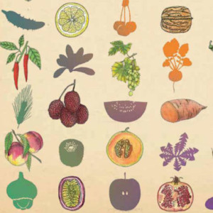 Inventário dos Frutos e Legumes, Kalandraka, Deus Me Livro, Virginie Aladjidi, Emmanuelle Tchoukriel