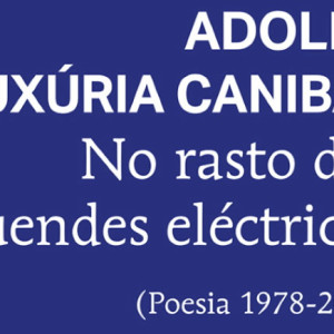No rasto dos duendes eléctricos, Porto Editora, Deus Me Livro, Crítica, Adolfo Luxúria Canibal