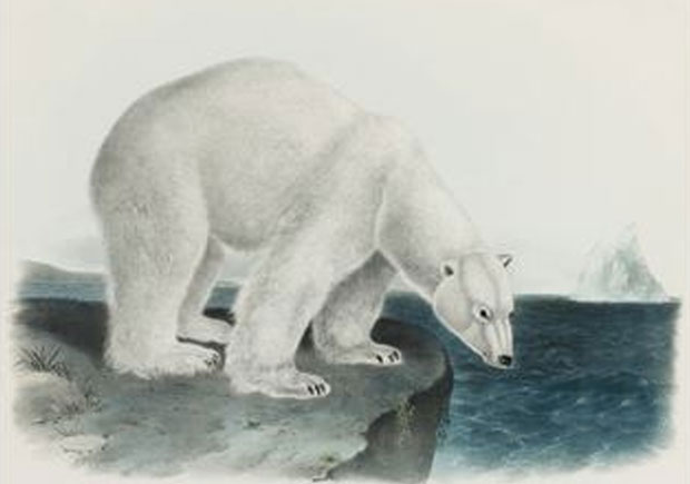 Memórias de um Urso-Polar”, Yoko Tawada