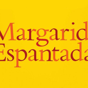 Margarida Espantada, Deus Me Livro, Crítica, Dom Quixote, D. Quixote, Rodrigo Guedes de Carvalho