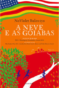A Neve e as Goiabas, Deus Me Livro, Crítica, Teorema, NoViolet Bulawayo