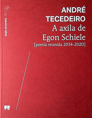 A Axila de Egon Schiele, Deus Me Livro, Crítica, Porto Editora, André Tecedeiro