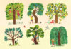 As Árvores Guardam Segredos, Deus Me Livro, Crítica, Lilliput, Penguin, Lucas Riera, Olivia Holden