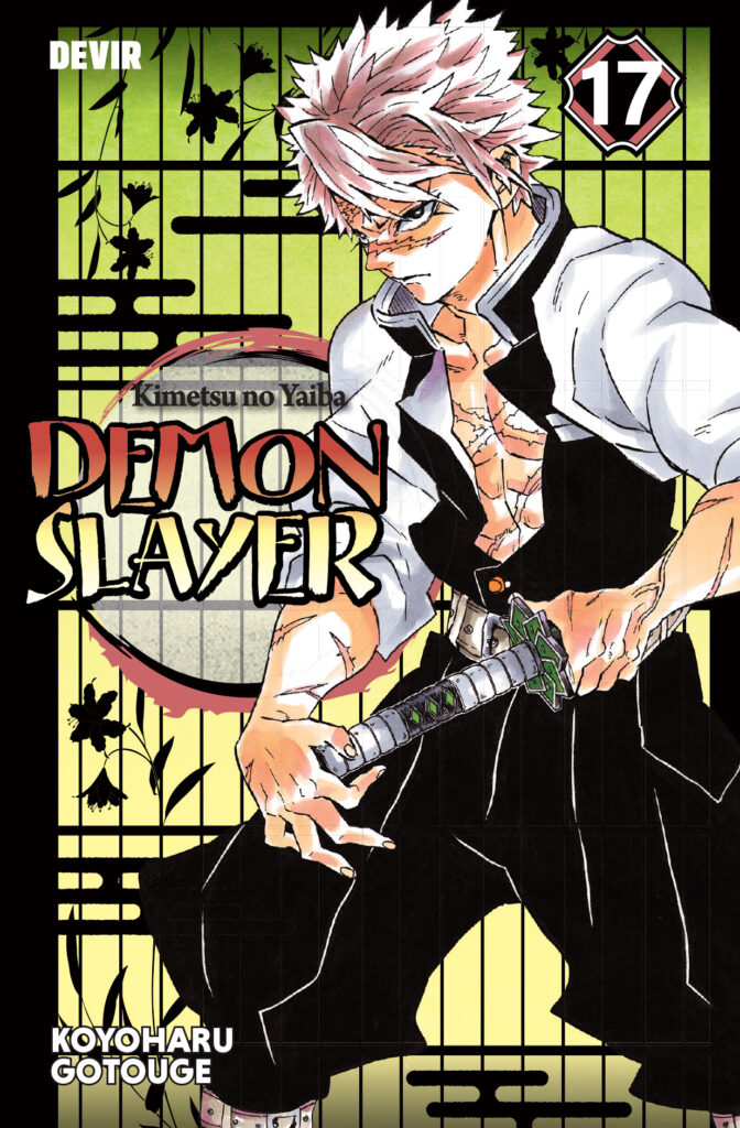 Demon Slayer 17, Demon Slayer, Deus Me Livro, Devir, Sucessores, Koyoharu Gotouge