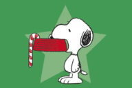 O Guia dos Peanuts para o Natal, Charles M. Schulz, Deus Me Livro, Crítica, Iguana