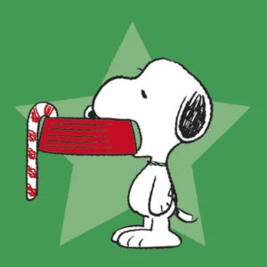 O Guia dos Peanuts para o Natal, Charles M. Schulz, Deus Me Livro, Crítica, Iguana