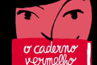 O Caderno Vermelho da Rapariga Karateca, Ana Pessoa, Bernardo Carvalho, Deus Me Livro, Crítica, Planeta Tangerina,