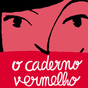 O Caderno Vermelho da Rapariga Karateca, Ana Pessoa, Bernardo Carvalho, Deus Me Livro, Crítica, Planeta Tangerina,