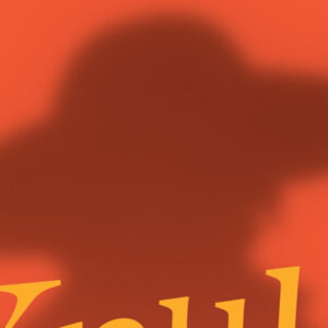 Knulp, Hermann Hesse, Deus Me Livro, Crítica, D. Quixote, Dom Quixote,