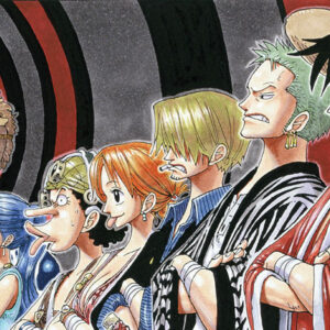 One Piece 8: Hope!, Eiichiro Oda, One Piece, Deus Me Livro, Devir, Crítica,