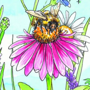 Começa com uma Abelha, Fábula, Começa com uma Gota de Água, Aimee Gallagher, Jennie Webber, Sally Garland, Deus Me Livro,