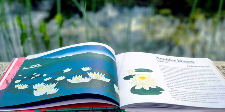 Uma Paisagem Uma Flor, Akiara Books, Deus Me Livro, Crítica, Inês Castel-Branco, Neus Caamaño,