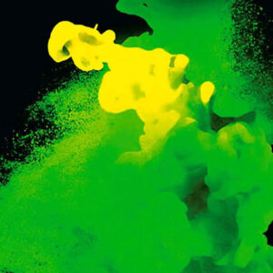 Um Terrível Verdor, Benjamín Labatut, Deus Me Livro, Crítica, Elsinore,