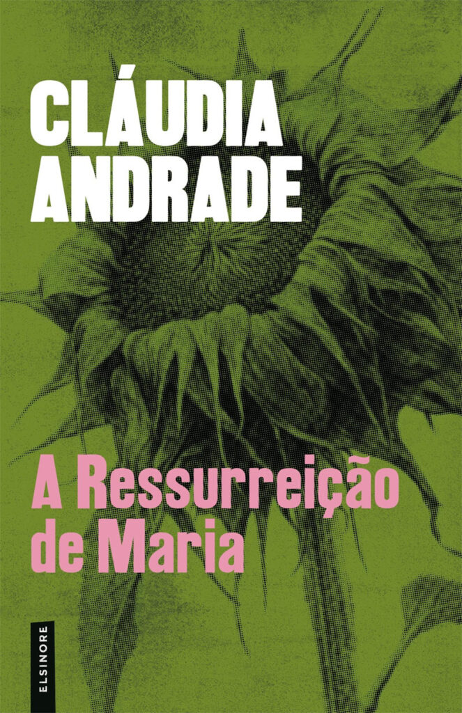 A Ressurreição de Maria, Cláudia Andrade, Crítica, Deus Me Livro, Elsinore,