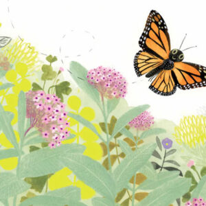 A Borboleta, Kirsten Hall, Isabelle Arsenault, Deus Me Livro, Crítica, Orfeu Negro,