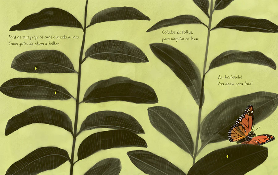 A Borboleta, Kirsten Hall, Isabelle Arsenault, Deus Me Livro, Crítica, Orfeu Negro,