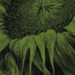 A Ressurreição de Maria, Cláudia Andrade, Crítica, Deus Me Livro, Elsinore,