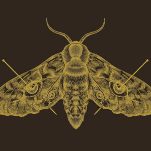 Curtas da Estante, Deus Me Livro, Topseller, Academia da Mentira, Alexis Henderson,