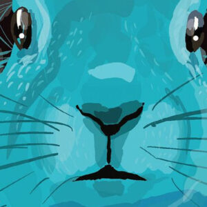 A Biblioteca do Censor de Livros, Bothayna Al-Essa, Deus Me Livro, Crítica, D. Quixote, Dom Quixote,