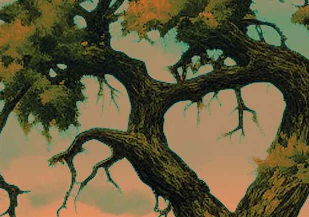 A Cinco Palmos dos Olhos, Carlos Campaniço, Deus Me Livro, Casa das Letras, Crítica,