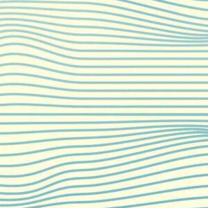 Estremecimento, Teju Cole, Quetzal, Deus Me Livro, Crítica,