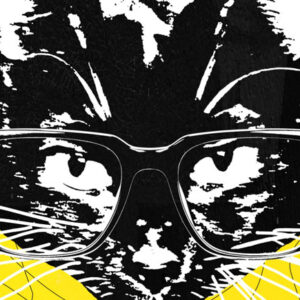 O Salgado Faz Anos... FEST!, O Salgado Faz Anos... FEST! 2026, Deus Me Livro, Maus Hábitos,