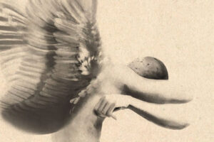 A Chuva que Lança a Areia do Saara, Ana Margarida de Carvalho, Deus Me Livro, Crítica, Companhia das Letras,