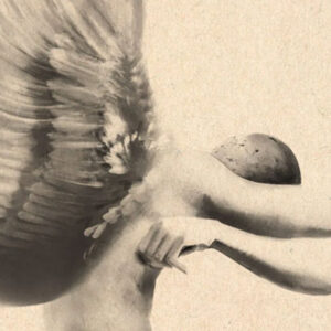 A Chuva que Lança a Areia do Saara, Ana Margarida de Carvalho, Deus Me Livro, Crítica, Companhia das Letras,