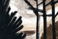 À Noite na Floresta, Sarah Cheveau, Deus Me Livro, Orfeu Negro, Crítica,