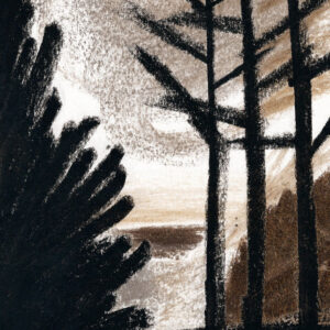 À Noite na Floresta, Sarah Cheveau, Deus Me Livro, Orfeu Negro, Crítica,