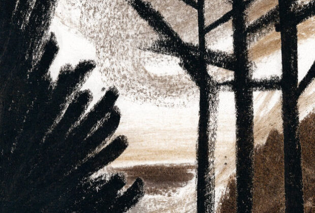 À Noite na Floresta, Sarah Cheveau, Deus Me Livro, Orfeu Negro, Crítica,