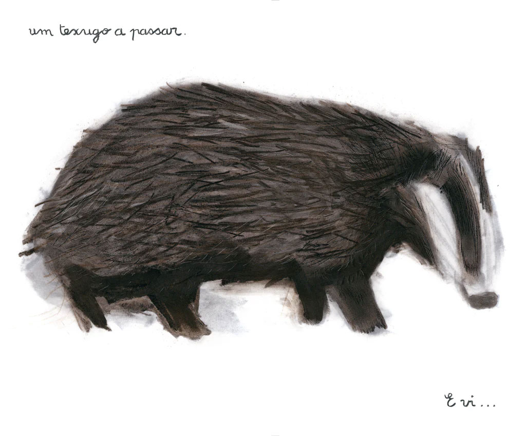 À Noite na Floresta, Sarah Cheveau, Deus Me Livro, Orfeu Negro, Crítica,