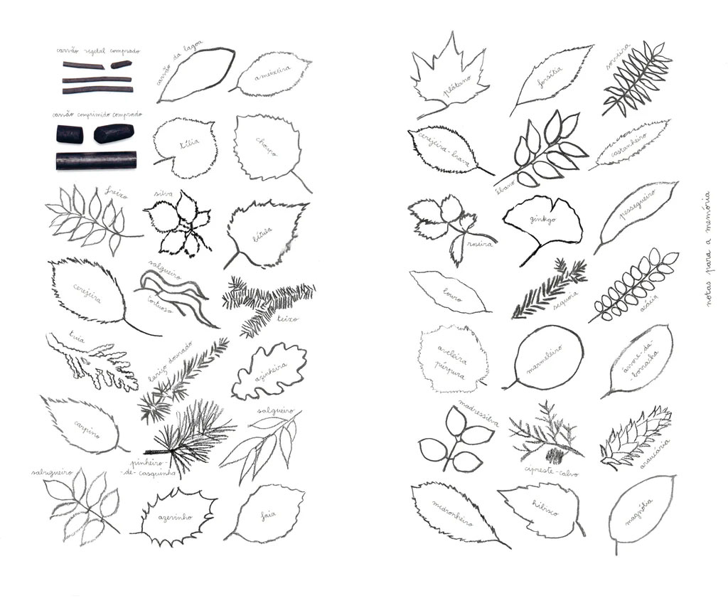 À Noite na Floresta, Sarah Cheveau, Deus Me Livro, Orfeu Negro, Crítica,