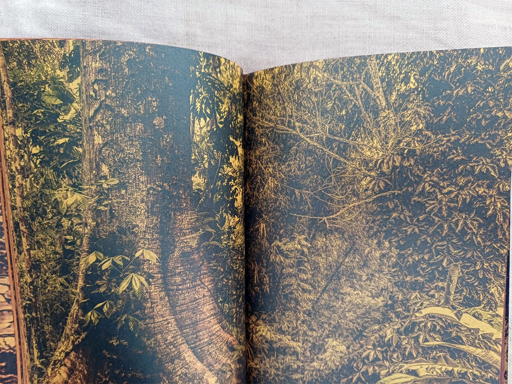 Exploratorius, Deus Me Livro, Crítica, Transitus Naturalis, Elaine Pessoa,