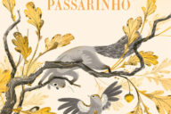 O Esquilo e o Passarinho, Deus Me Livro, Fábula, Crítica, Laura Baker, Stacey Thomas,