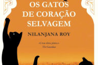 Os Gatos de Coração Selvagem, Bertrand Editora, Bertrand, Deus Me Livro, Crítica, Nilanjana Roy,