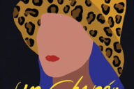 Um Chapéu de Leopardo, Anne Serre, Deus Me Livro, Crítica, D. Quixote, Dom Quixote,