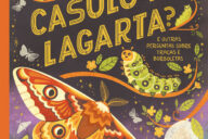 O Que Há Dentro de Um Casulo de Lagarta?, Rachel Ignotofsky, Nuvem de Letras, Deus Me Livro, Crítica,