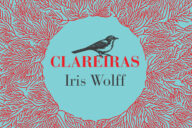 Curtas da Estante, Deus Me Livro, Dom Quixote, D. Quixote, Clareiras, Iris Wolff,