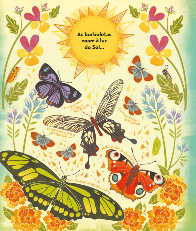 O Que Há Dentro de Um Casulo de Lagarta?, Rachel Ignotofsky, Nuvem de Letras, Deus Me Livro, Crítica,