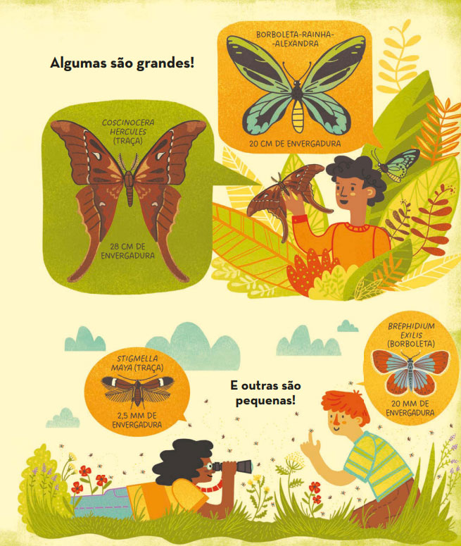 O Que Há Dentro de Um Casulo de Lagarta?, Rachel Ignotofsky, Nuvem de Letras, Deus Me Livro, Crítica,