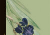 Tudo na Natureza apenas Continua, Yiyun Li, Alfaguara, Deus Me Livro, Crítica,