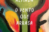 O Vento que Arrasa, Crítica, Deus Me Livro, D. Quixote, Dom Quixote, Selva Almada,