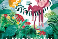 A Macaquinha, Fábula, Marta Altés, Deus Me Livro, Crítica,