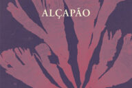 Curtas da Estante, Alçapão, Ana Isabel Mouta, Deus Me Livro, Assírio & Alvim,
