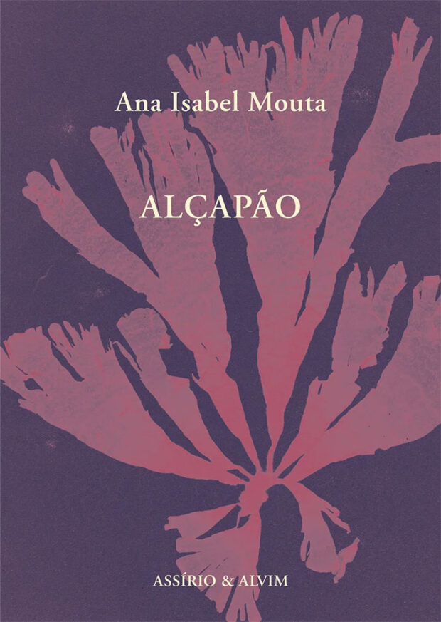Curtas da Estante, Alçapão, Ana Isabel Mouta, Deus Me Livro, Assírio & Alvim,